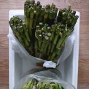 개운 경로당 이미지