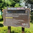 밀양숲속마을영농조합법인 이미지