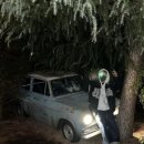 The Chillin 이미지