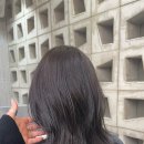 아우라지장 이미지