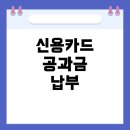 부용약국 | 소상공인크랫딧 지원금, 국민은행 신용카드로 공과금 납부 전 과정 안내