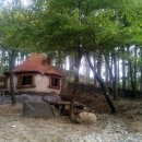 초부리유아숲체험원 이미지