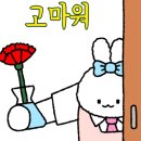 로이드밤 전주객사점