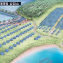 신안 태양광발전소 이미지