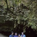 오클랜드 와이토모동굴(반딧불),작은숲을 걷다 이미지