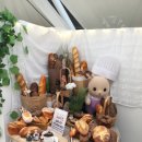 바니베어뮤지엄 이미지