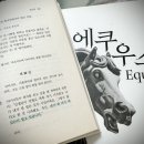 홍문각 | 일상 속 캡처, 책의 순간들