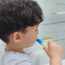 플러스유치과기공소 | 부드러운 유아칫솔 찾다가 정착한 래디어스칫솔 후기