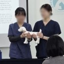 (주)한국반려동물아카데미 이미지