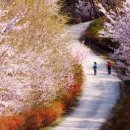 명성당약국 이미지