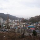 장선목장 Daum카페
