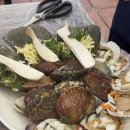 도희네맛집 | 부산 청사포 조개구이 맛집 애견동반 가능한 도희네