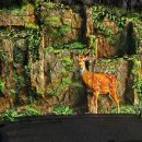 우리동네 D.C마트 이미지