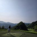 캘러웨이 스크린장 | 포레스트힐CC 노캐디 2인플레이 머리올린 후기 (+골린이 라운딩룩 코디)