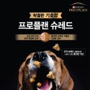 슈레드