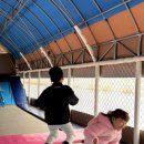 아이뜰관광농원 이미지