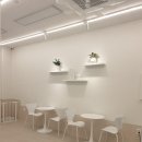 하이멍 애견미용 이미지