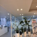 사상튼튼정형외과의원 이미지