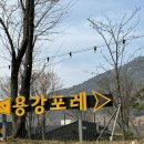 동읍1177 이미지