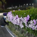 의병광장 이미지