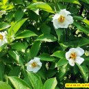 대화농업체험공원 이미지