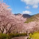 덕동국밥 이미지