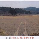 노경리 이미지