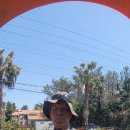 온평리-8 이미지