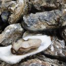 고흥공용버스터미널 이미지