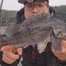 나곡바다낚시공원 | 선재낚시공원 루어낚시터 우럭낚시 강도다리 바다낚시후기