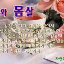 감기는 약으로 절대 치유되지 않는다 - 면역강화와 증상별 따주기 이미지