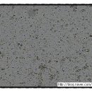 비포유동물병원 이미지