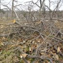 동산농원 이미지