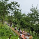 봉담초등학교 이미지