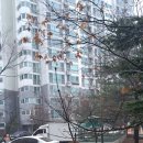 대한민국고엽제전우회 양주시지회 이미지