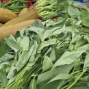 이재숙농장 이미지