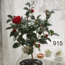 마이티농장 이미지