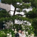 마이가든