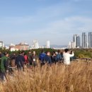 청도읍 도시재생뉴딜사업 이미지