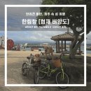 비양도의 비양나무자생지 | 제주 속 섬여행 / 협재 비양도 대형견 동반 여행하기 / 한림항 비양도 배편, 주차, 요금, 애견동반