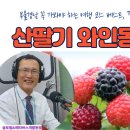 커피엠박스 - 용인시 기흥구 농서로 87 | 커피엠박스