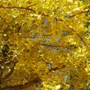 성주산건강마을 이미지