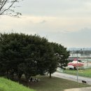 그린브라우니 이미지