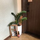 그레이 농장 이미지