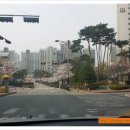 능동마을7단지앞 이미지