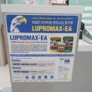 상기카센타 이미지