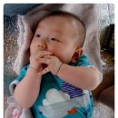 장승포체육공원 이미지