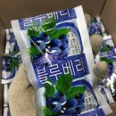 불루베리건강원 네이버블로그