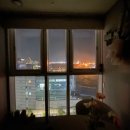 중앙동-15 이미지