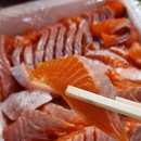 모두의송어 | 가평 자라섬 맛집 모두의송어에서 송어회 1kg 포장 후기 (가격 / 주차)